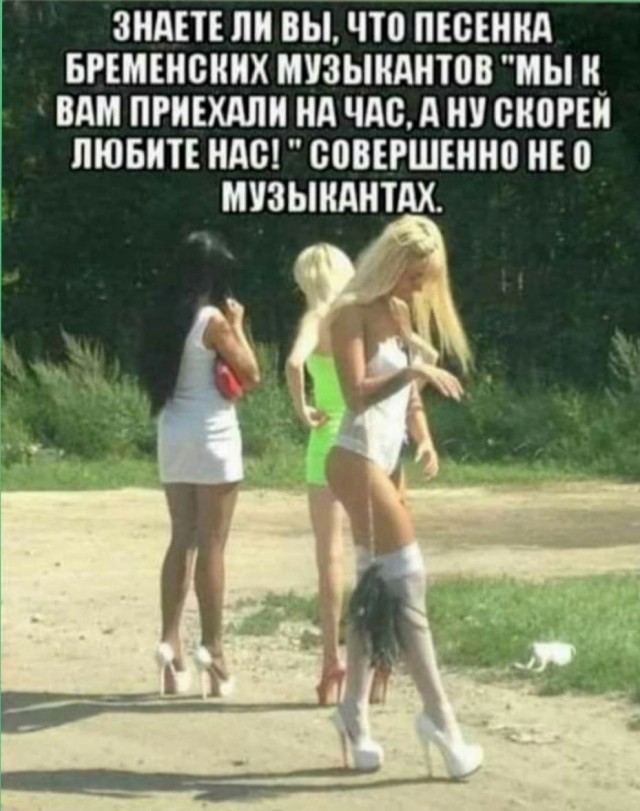 Весёлый полтишок 21.08.23