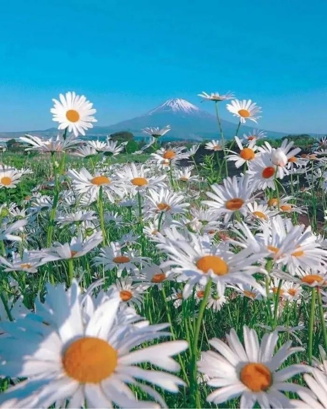 Прикольные и просто красивые картинки 19.09.2023