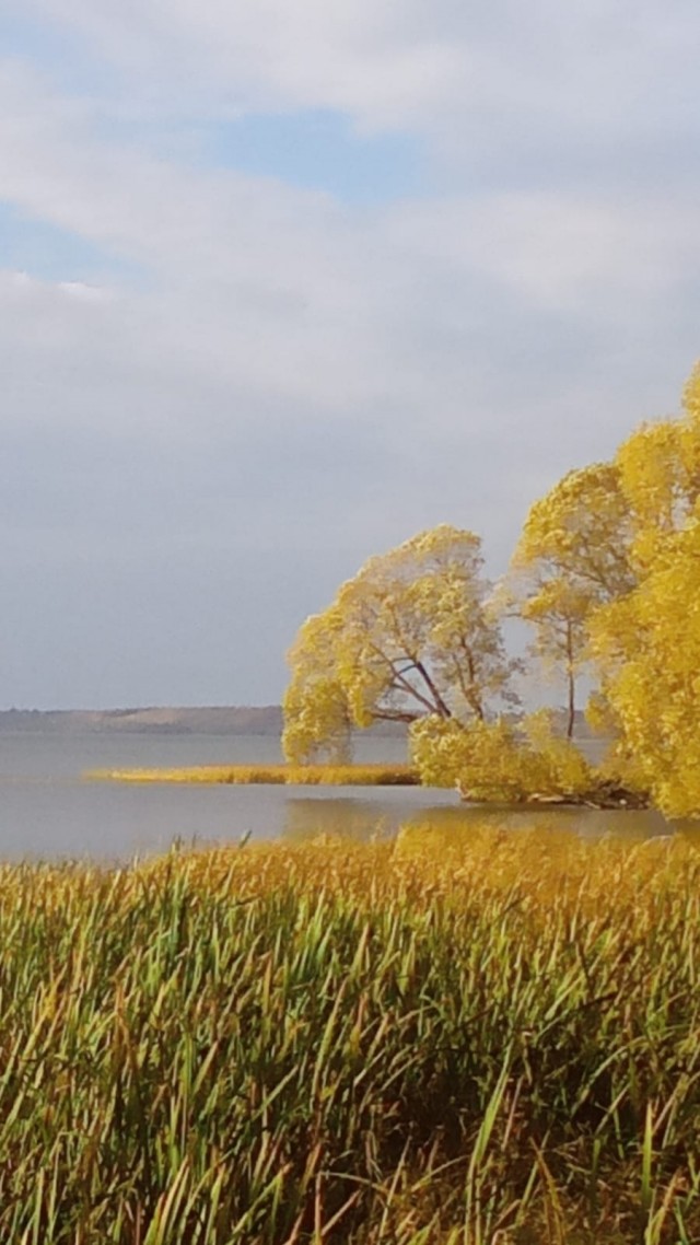 Осень в нашем СНТ
