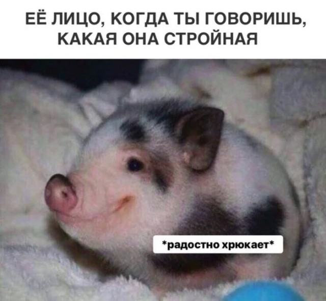 Веселительные картинки