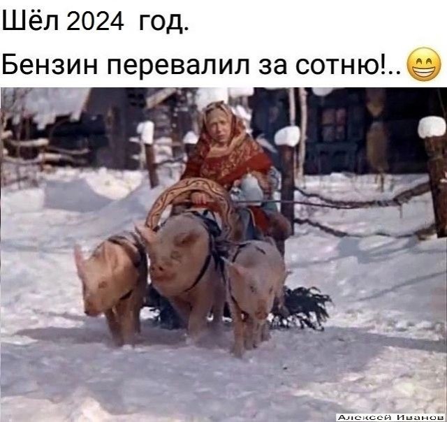 18722184.jpg
