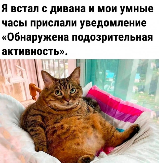 Картинки с юмором и без