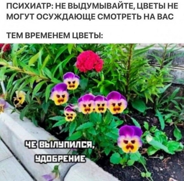 Ставь лайк