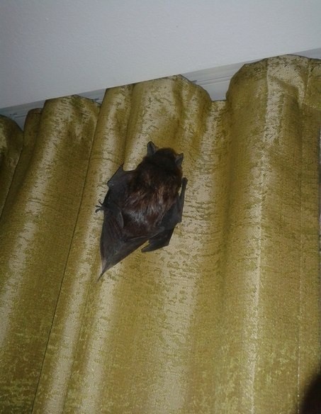 Прихожу я значит домой, а тут такое