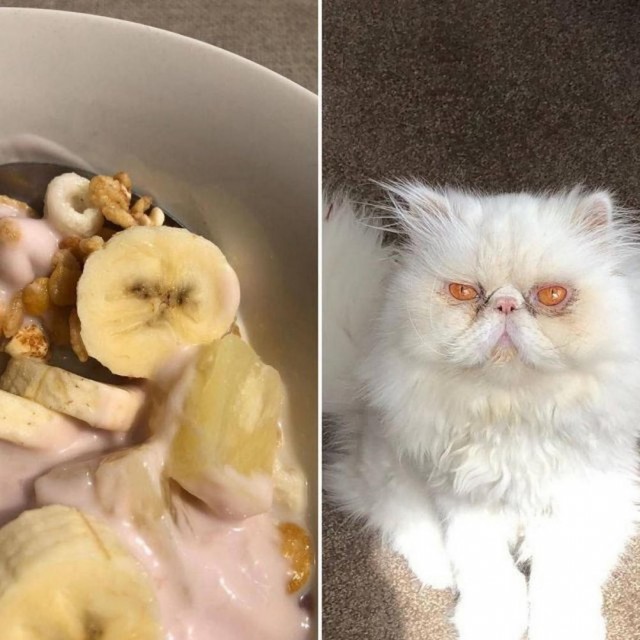Картинки