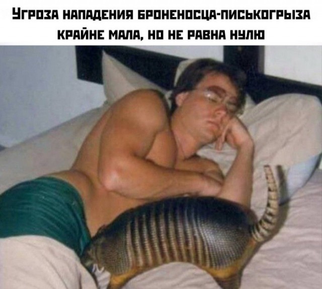 Веселые картинки