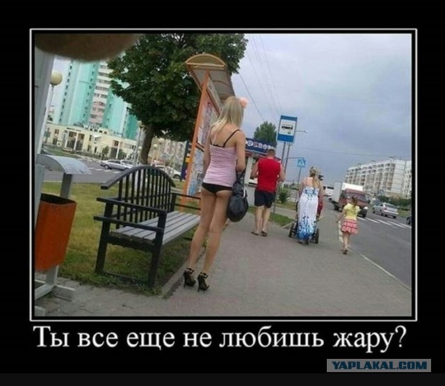 Аномальная жара в ближайшие дни в некоторых регионах России может достигать 36-37 градусов