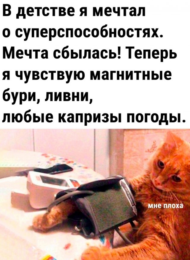 19268184.jpg