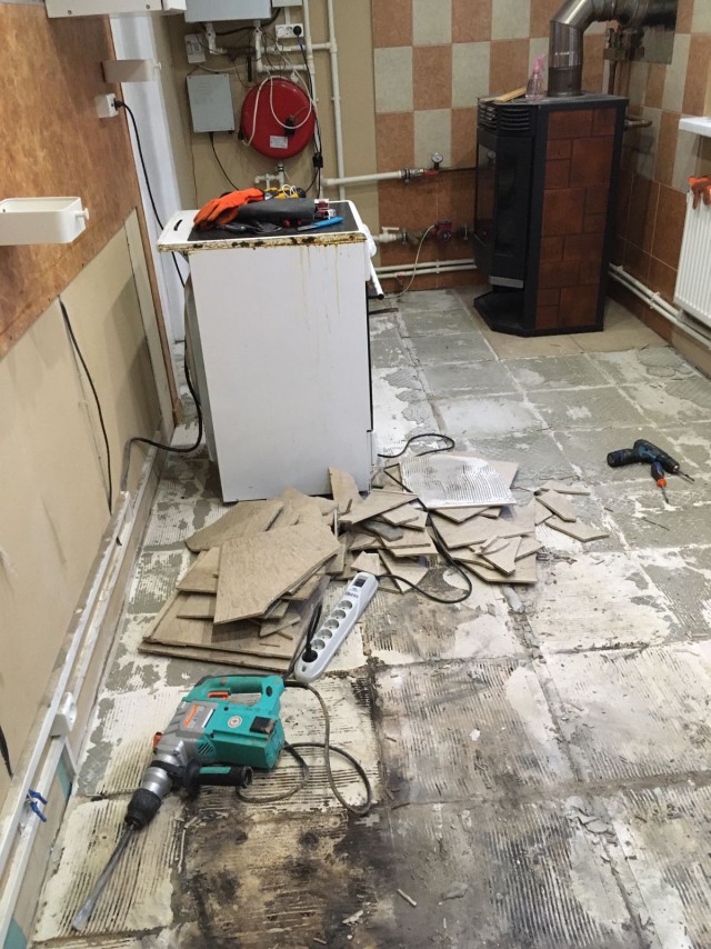 Очумелые Пёрышки. Начало