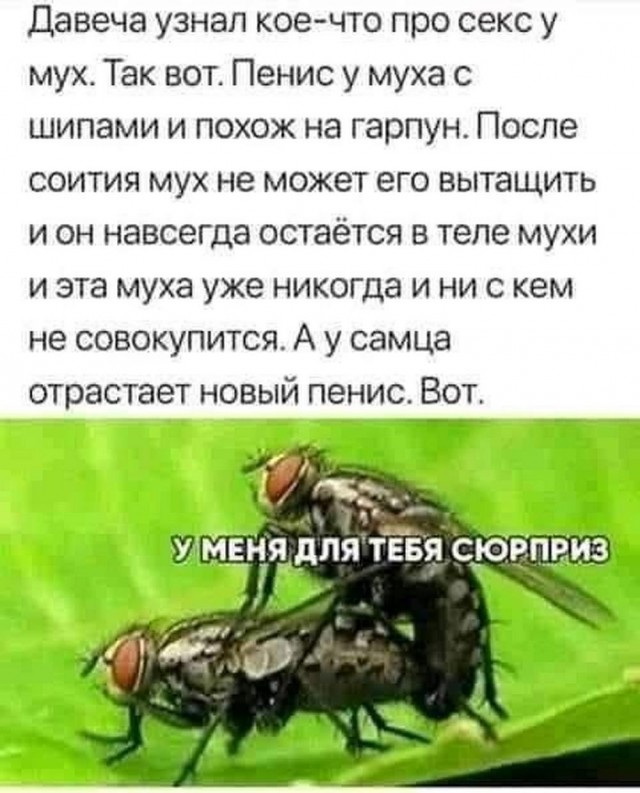 Молодцы детки!