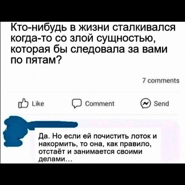 Так себе картинки 08.02.25