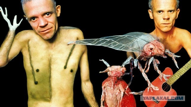 Манифест от отчаявшегося ЯПовчанина Сова82
«Даёшь деградацию! Вернём ЯП в истоки!»