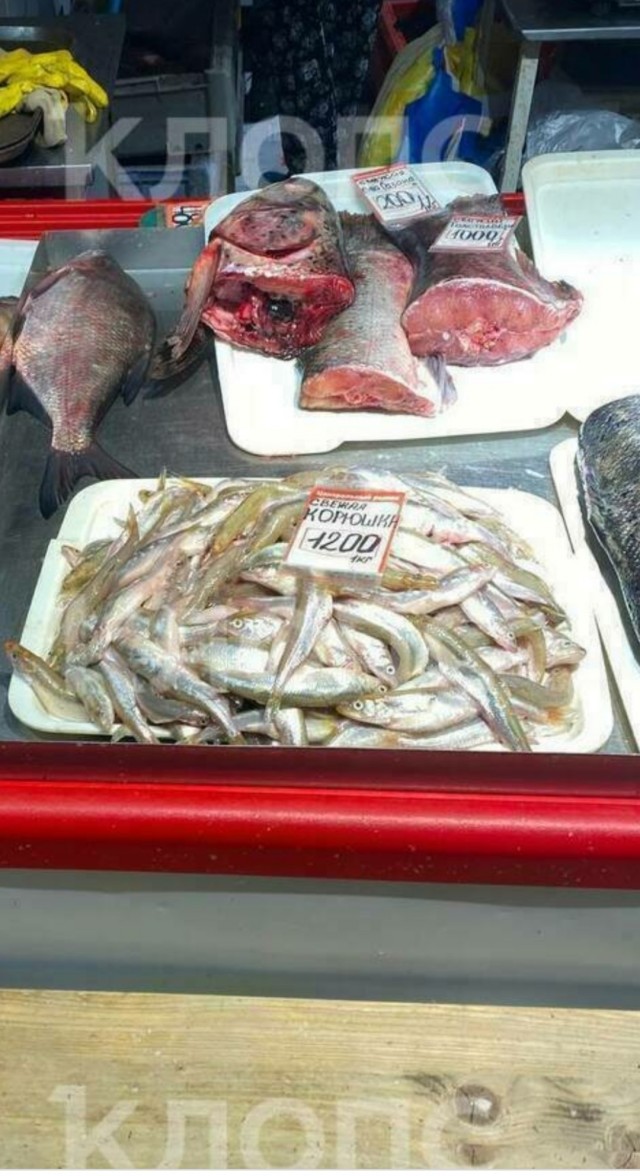 Сколько стоит корюшка в городах, где её ловят? Ответ здесь, и вы удивитесь.