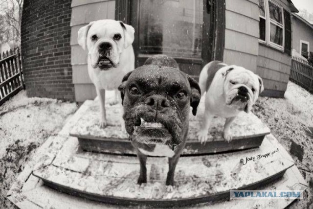 Че, какие-то проблемы?