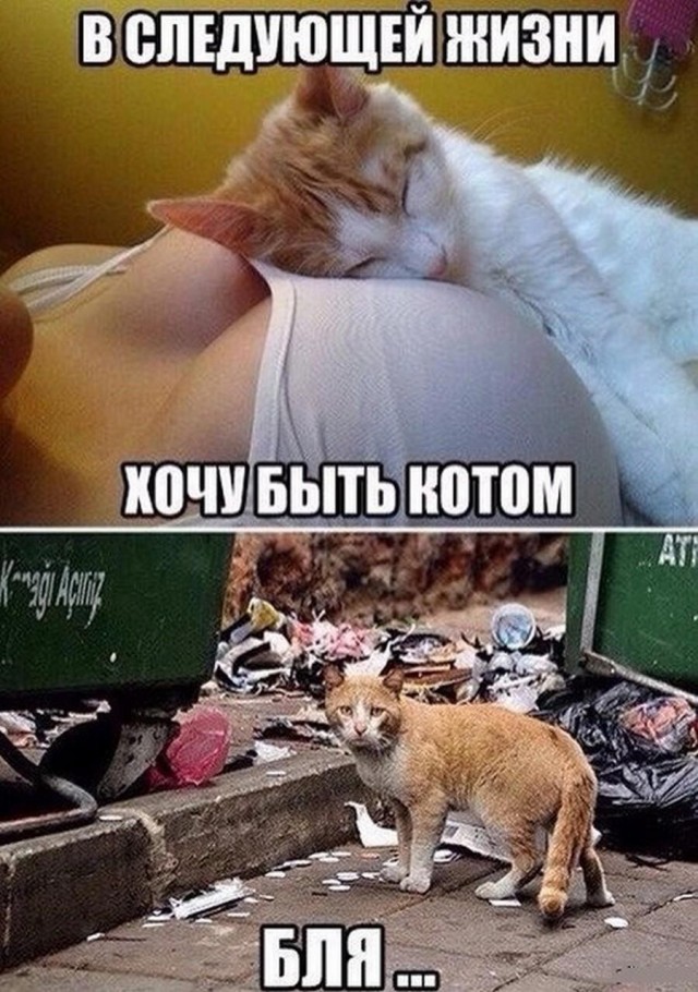 Документированные случаи детей, помнивших прошлые жизни