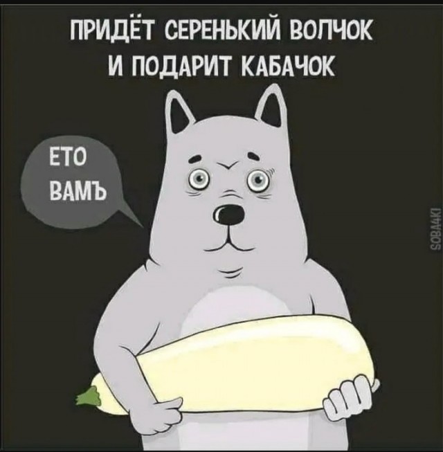 Картинки для деградации-6 (разной степени свежести)