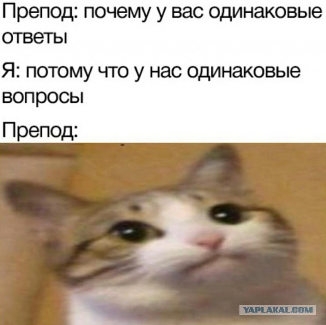 Картинки всякие
