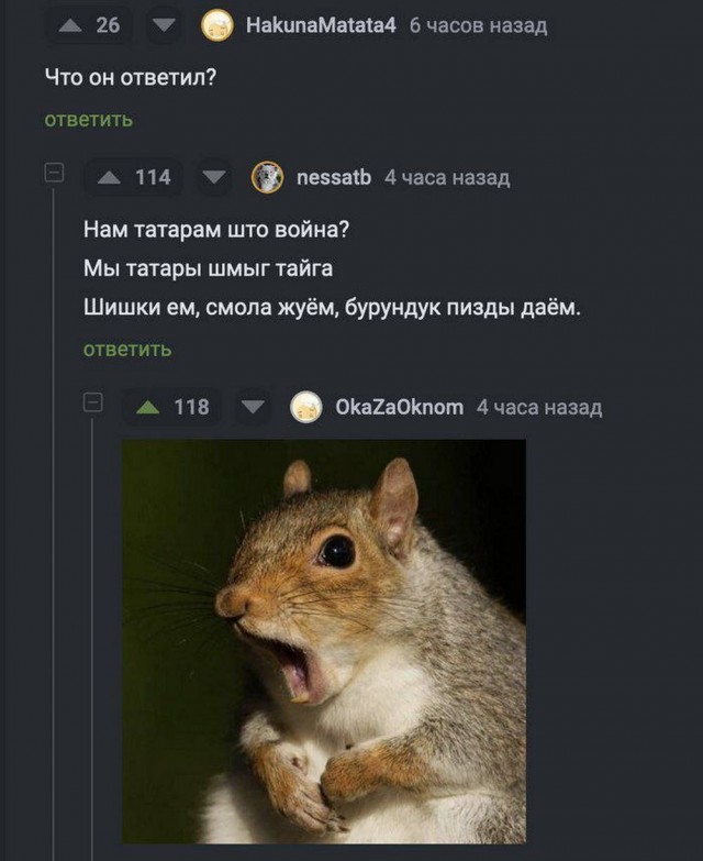 Нуштош 27.08.2025. Когнитивный декаданс (s4e8)