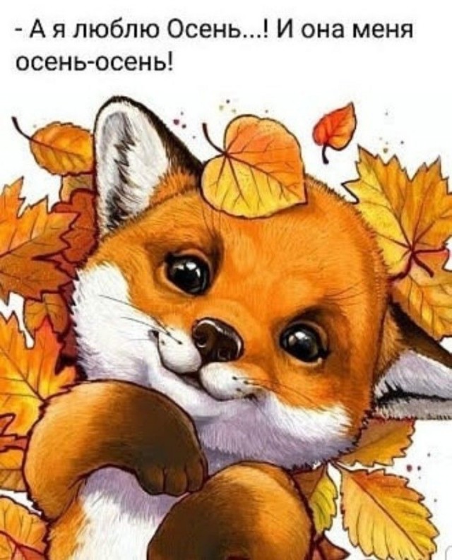 Прикольные и просто красивые картинки 19.09.2025