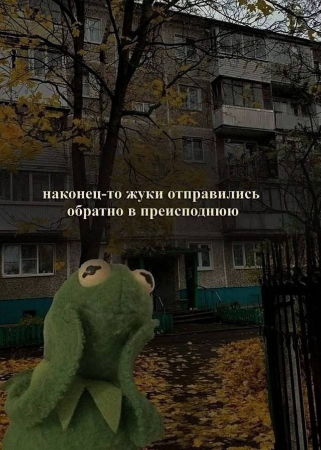 Картинки для деградации 69 (разной степени свежести)
