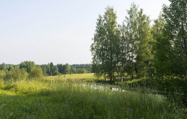 Деревенская Америка - 10