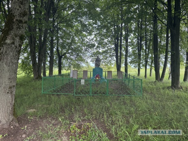 А я прадеда нашел