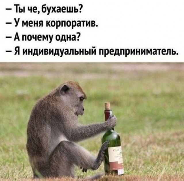 Веселые картинки в маленькую пятницу (10.06)
