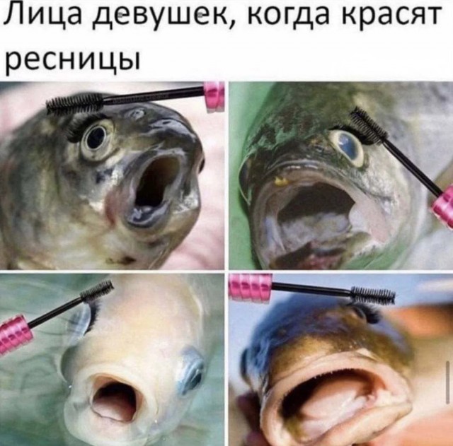 Картинки для деградации 220 (разной степени свежести)