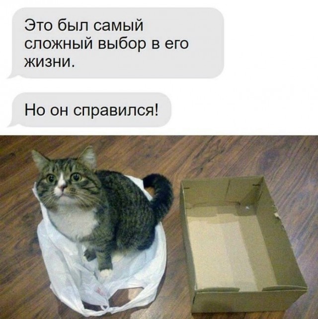 Картиночки, баянчики 12 июня