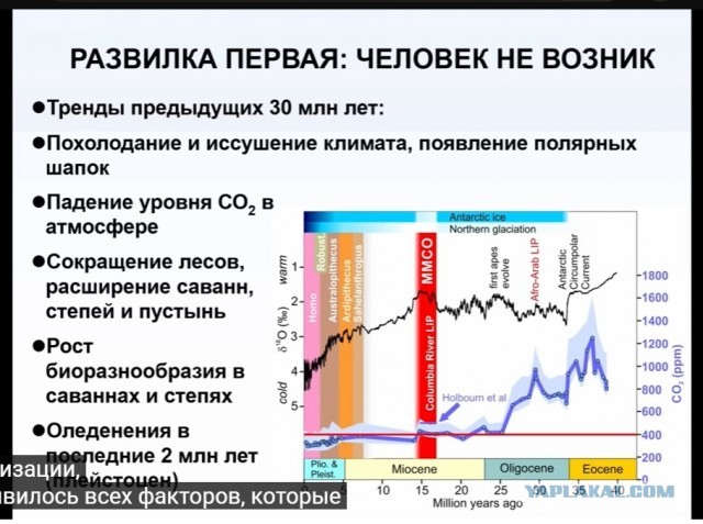 Альтернативная сборка: какой могла быть жизнь на Земле. Михаил Никитин Краткий пересказ одноименной лекции.