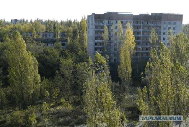Атомград на болотах: планировка и архитектура Припяти