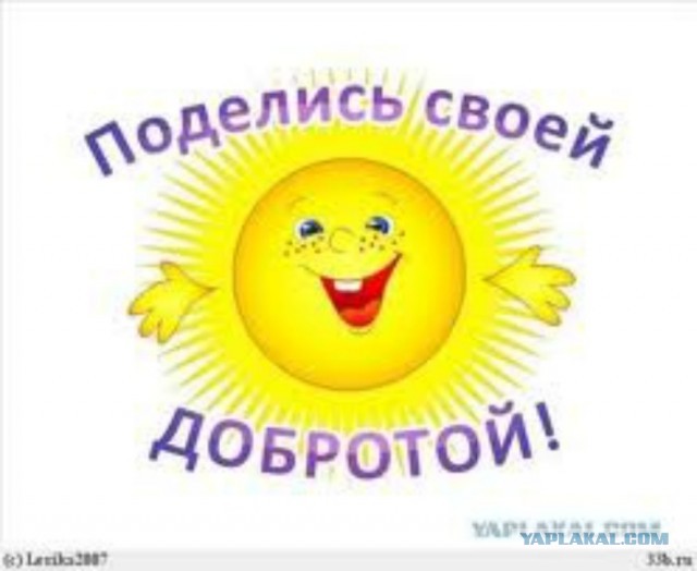 Утреннее происшествие.