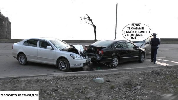 Сегодня в новостях