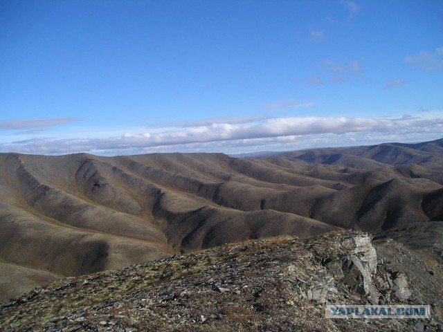 Река Лена