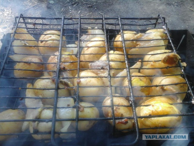 Опять про бульбу