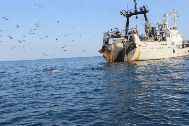 Отчёт о поездке в Крым 12.07 - 29.07