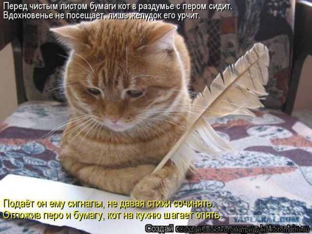 Чёрт, чёрт, чёрт!