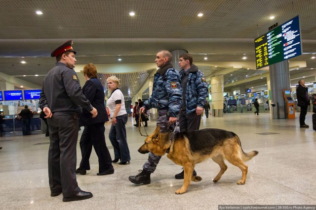 Взрыв в Домодедово