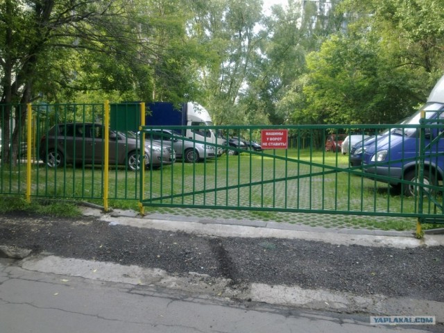 Как в Москве воруют газоны,