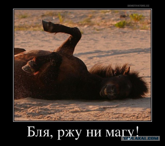 ТП создает лигу шпалоукладчиков