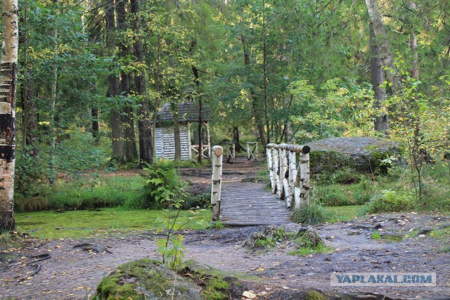 Деревенская Америка