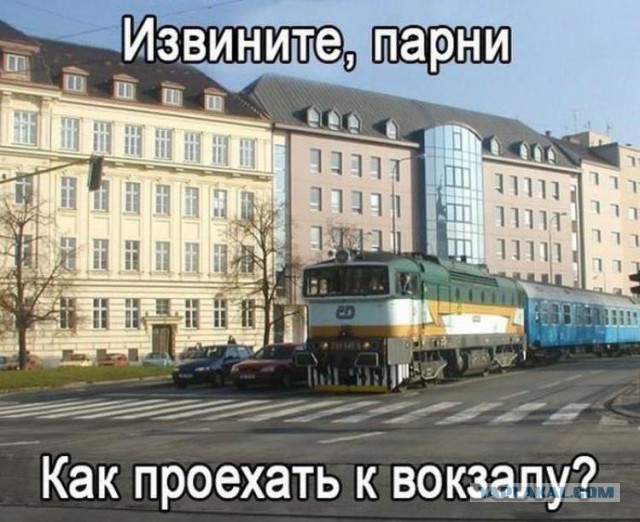 Прикольные картинки