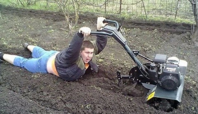 Подборка интересных и веселых фото