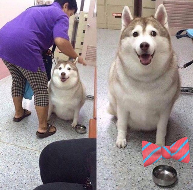 Худеющим и тем кто любит поесть посвящается ^^
