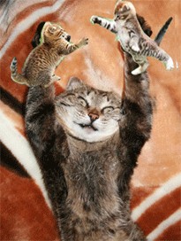 Котомет во вторник (11.12.2007)