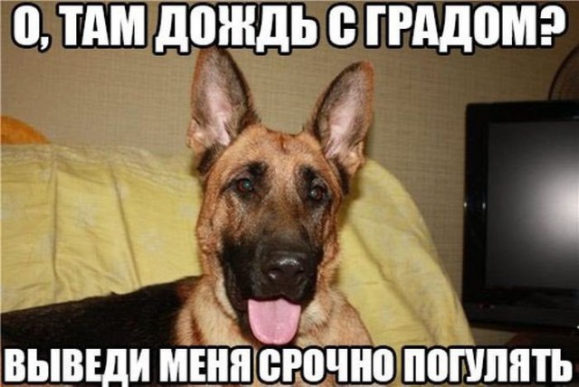 Немного картинок на выходные     20 шт