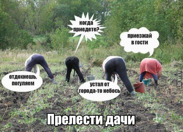 Дачные шедевры и дачный же креатив