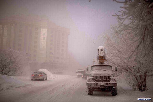 Сургут в -50 в картинках.