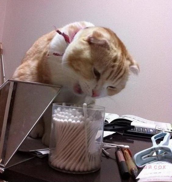 Когда пытаешься аккуратно достать ватную палочку