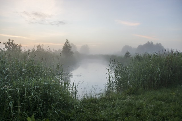 Мои фотографии